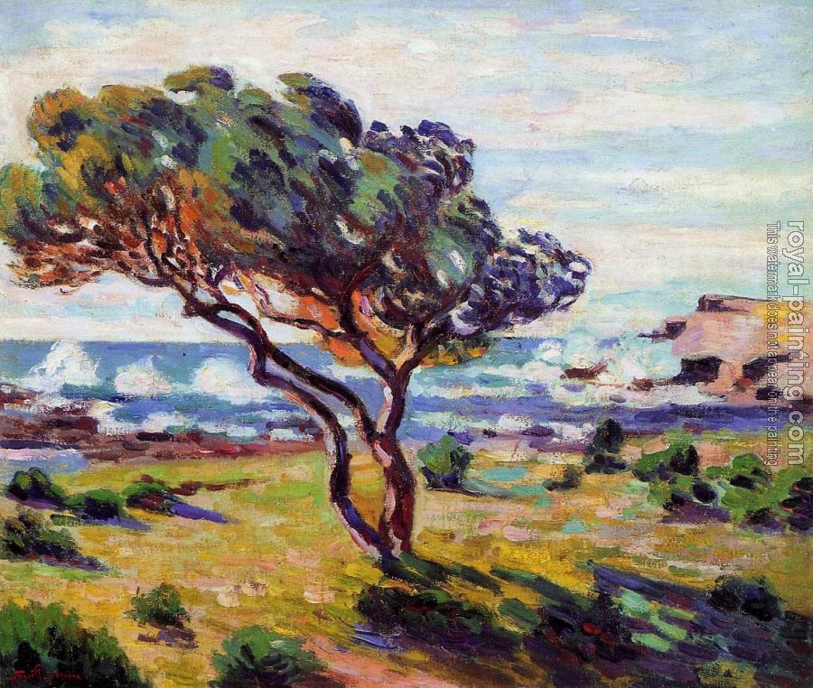 Armand Guillaumin : Gust of Wind, le Brusc